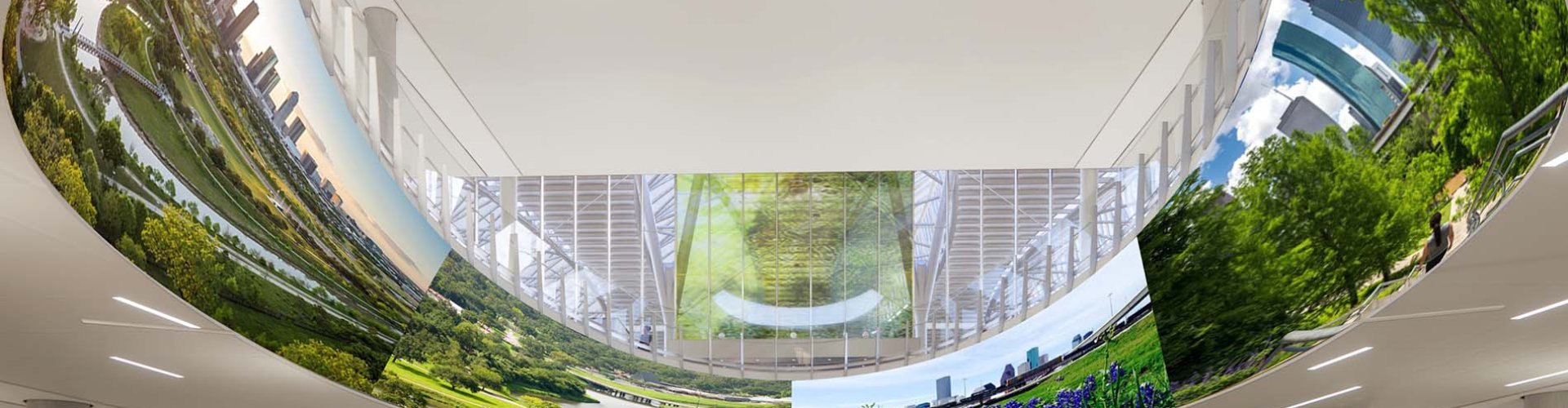 Car on the road near Houston skyline