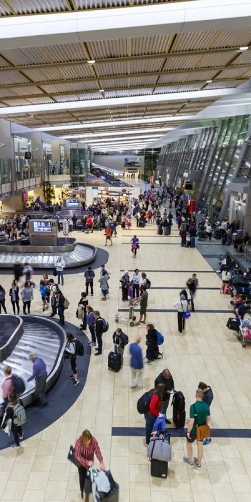 Car rentals and transport options at San Diego International Airport