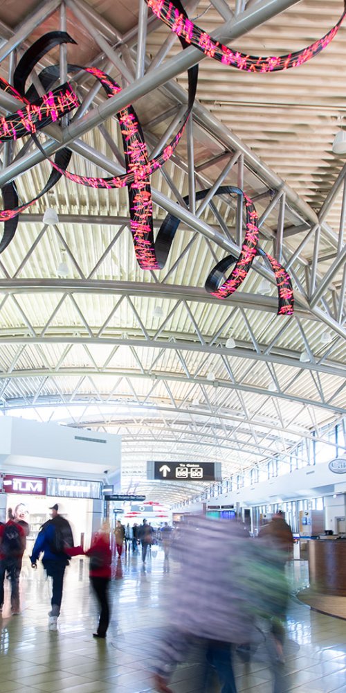 Rental car near Tampa Airport