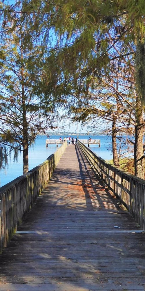 Street view of Clermont, FL, US